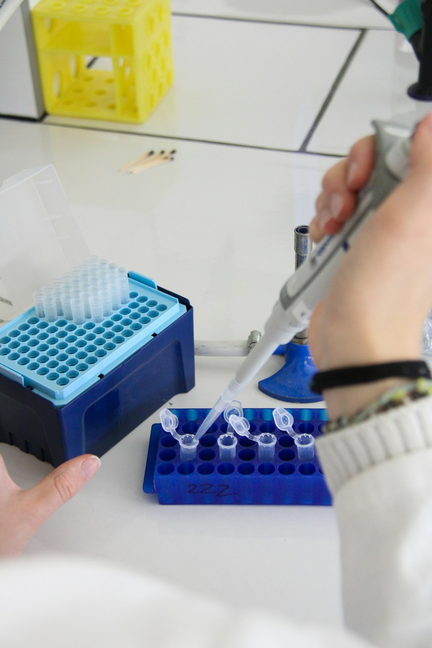 Breaking Down the Mechanisms of KPV